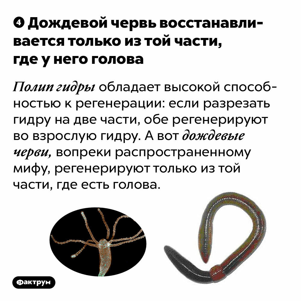 Реальная ссылка кракен